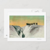 Carte Postale Randonneurs sur le glacier Muir, AlaskaGlacier Mui (Devant / Derrière)