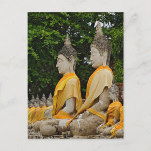 Carte Postale Rangée de statues de Bouddha, Wat Yai Chaya Mongko