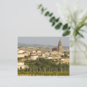 Carte Postale Rangées de vignes au premier plan cadre le (Debout devant)