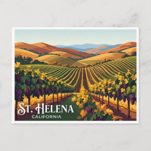 Carte Postale Rangées de vignes de St. Helena Californie