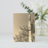 Carte Postale rangements empilés dans la poste du vermont burlin (Debout devant)