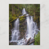 Carte Postale Ranger Falls, Parc national du Mont-Rainer (Devant)