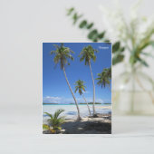 Carte Postale Rangiroa (Debout devant)