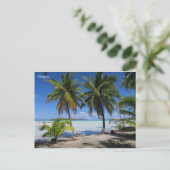 Carte Postale Rangiroa Polynésie française (Debout devant)