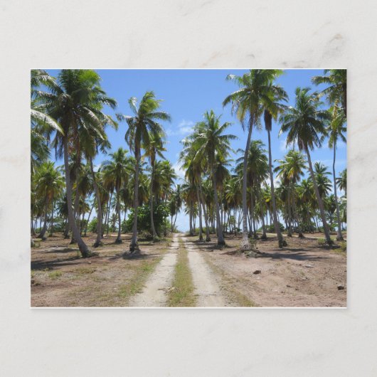 Carte Postale Rangiroa route vers le paradis (Devant)