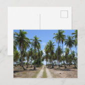 Carte Postale Rangiroa voie vers le paradis (Devant / Derrière)