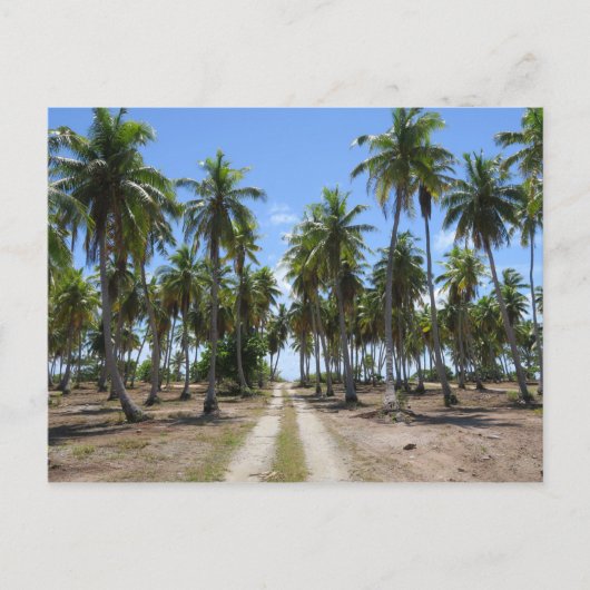 Carte Postale Rangiroa voie vers le paradis (Devant)