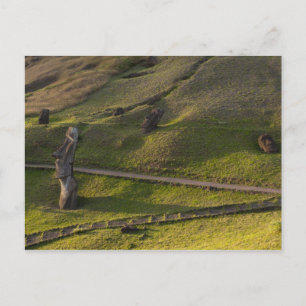 Carte Postale Rano Raraku, Rapa Nui, Île de Pâques, Chili