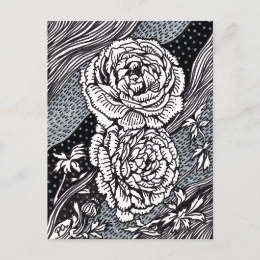 Carte Postale Ranunculus (Devant)