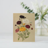 Carte Postale Ranunculus Asiaticus Doublé Persian Ranunculus (Debout devant)