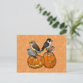 Carte Postale Rapaces Birdables sur les Citrouilles (Debout devant)