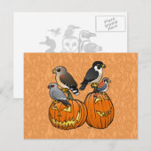 Carte Postale Rapaces Birdables sur les Citrouilles (Devant / Derrière)
