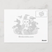 Carte Postale Rapaces Birdables sur les Citrouilles (Dos)