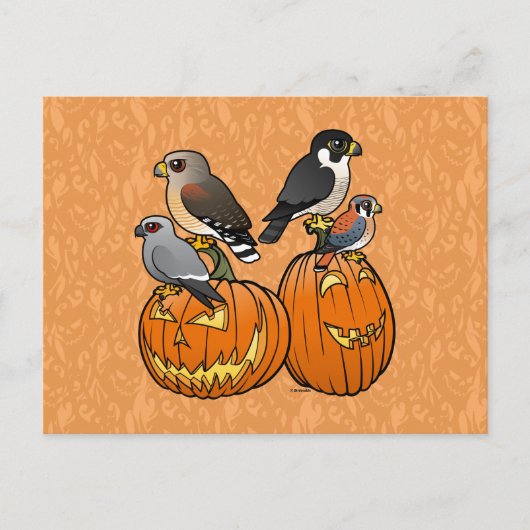 Carte Postale Rapaces Birdables sur les Citrouilles (Devant)