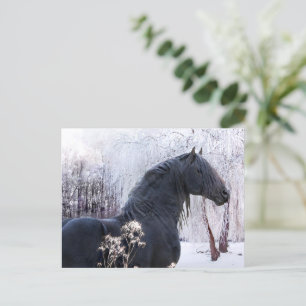 Carte postale "Raphael & Snowy Trees"