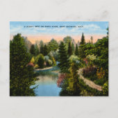 Carte Postale Rapid River Escanaba, Michigan (Devant)