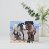 Carte postale rapide et furieuse (Debout devant)