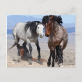 Carte postale rapide et furieuse (Devant)