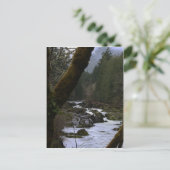 Carte Postale Rapides de la rivière Row (Debout devant)