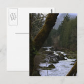 Carte Postale Rapides de la rivière Row (Devant / Derrière)