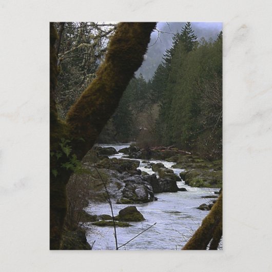 Carte Postale Rapides de la rivière Row (Devant)