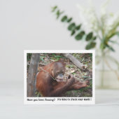 Carte Postale Rappel de nomination d'un dentiste (Debout devant)