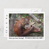 Carte Postale Rappel de nomination d'un dentiste (Devant / Derrière)