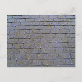 Carte Postale Rapprochement Des Carreaux De Toits Avec Lichens