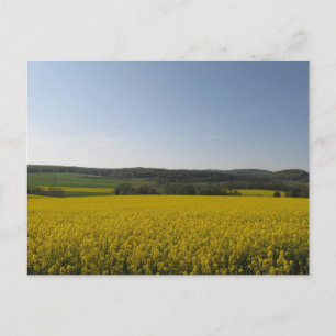 Carte Postale Rapsfeld