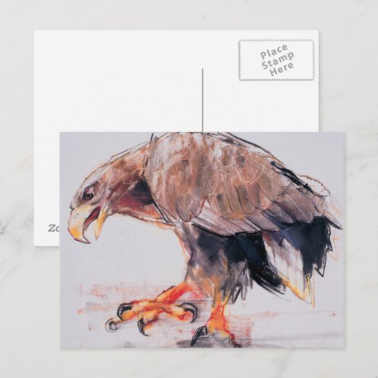 Carte Postale Raptor 2001 (Devant / Derrière)