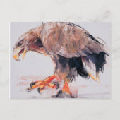 Carte Postale Raptor 2001 (Devant)