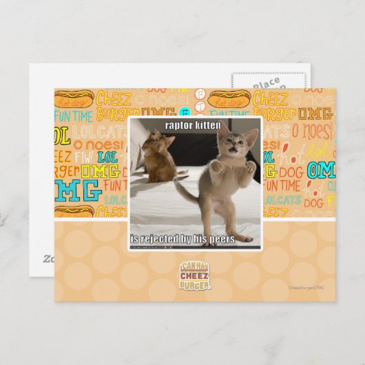 Carte Postale Raptor Kitten (Devant / Derrière)