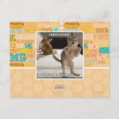 Carte Postale Raptor Kitten (Devant)