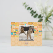 Carte Postale Raptor Kitten (Debout devant)