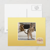 Carte Postale Raptor Kitten (Devant / Derrière)