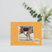 Carte Postale Raptor Kitten (Debout devant)