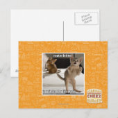 Carte Postale Raptor Kitten (Devant / Derrière)