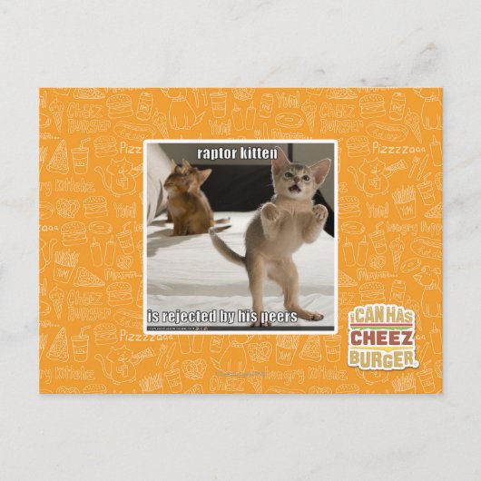 Carte Postale Raptor Kitten (Devant)