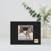 Carte Postale Raptor Kitten (Debout devant)