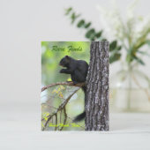 Carte Postale Rare Finds (Debout devant)