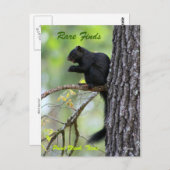 Carte Postale Rare Finds (Devant / Derrière)