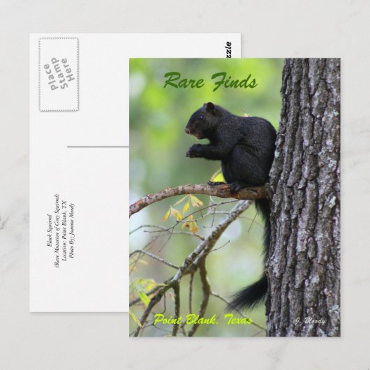 Carte Postale Rare Finds (Devant / Derrière)