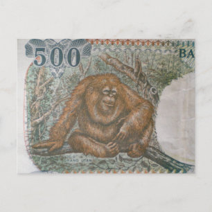Carte Postale Rare Orangutan Limited Edition