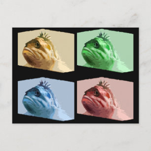 Carte Postale Rascasse douteuse quatre couleurs