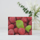 Carte Postale Raspberries (Debout devant)