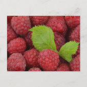 Carte Postale Raspberries (Devant)
