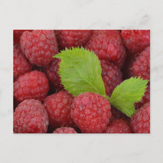 Carte Postale Raspberries (Devant)
