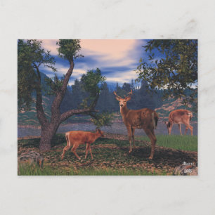 Carte Postale Rassemblement des cerfs