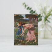 Carte Postale Rassembler Rosebuds (Debout devant)