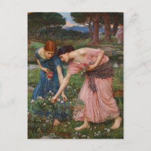 Carte Postale Rassembler Ye Rosebuds par John W. Waterhouse
